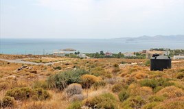 Land 500 m² on the Euboea island 