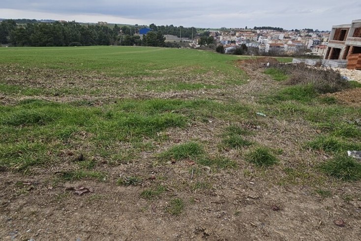 Realty photo 1