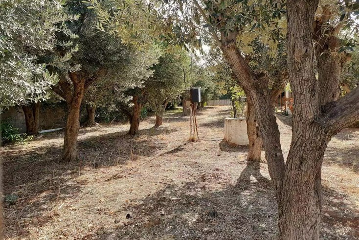 Realty photo 3