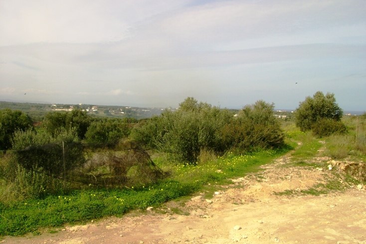 Realty photo 2