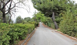 სასტუმრო 546 m² ევბეა