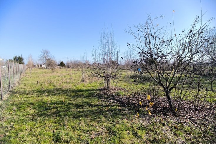 Realty photo 3