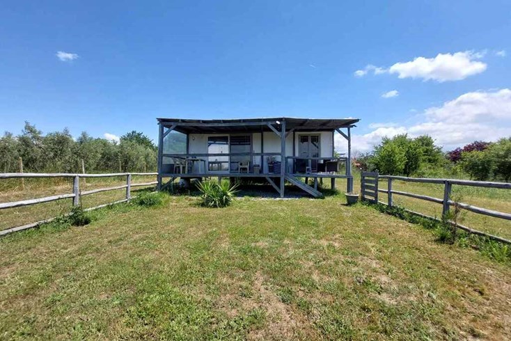 Realty photo 1