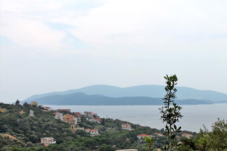 Realty photo 1