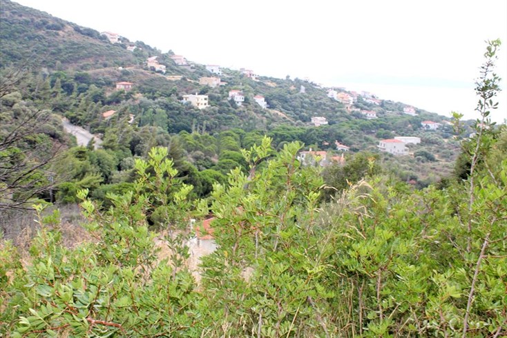 Realty photo 3