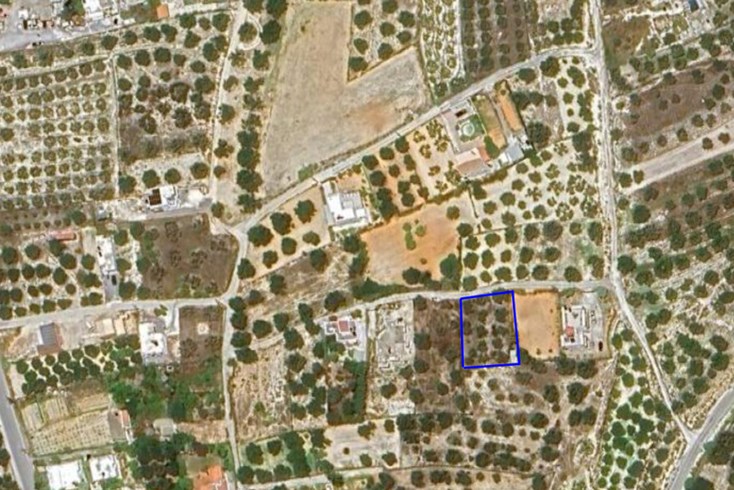 Realty photo 2