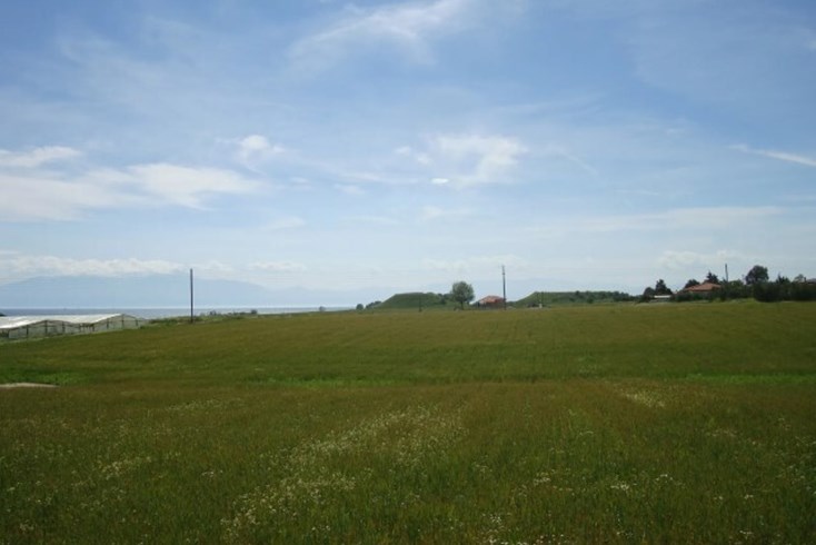 Realty photo 1