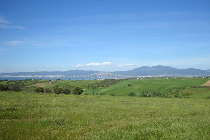 Realty photo 3