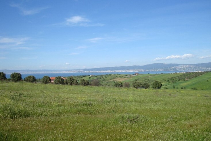 Realty photo 1