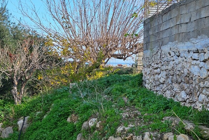 Realty photo 1