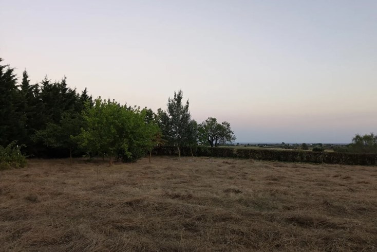 Realty photo 2