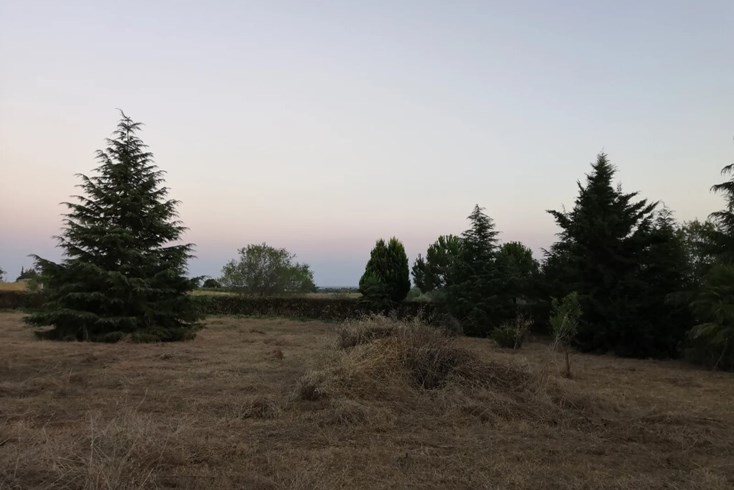 Realty photo 3