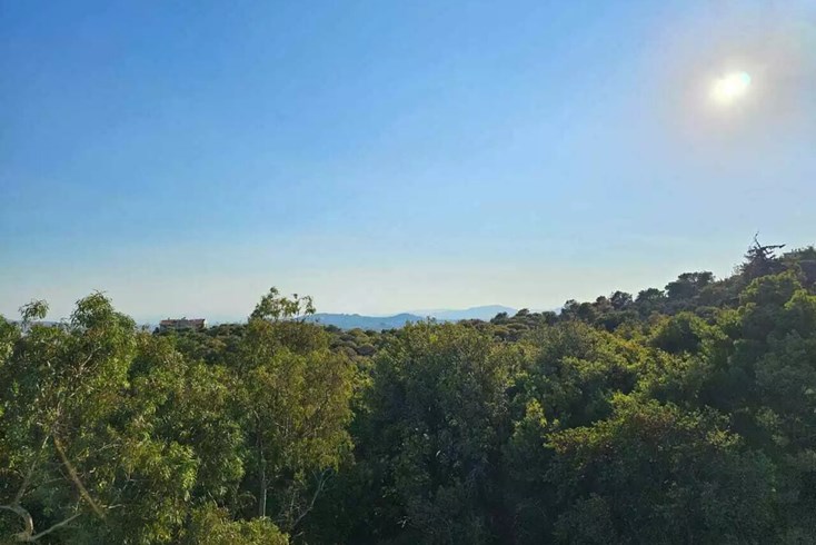 Realty photo 3