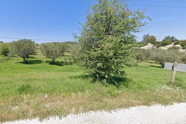 Realty photo 2