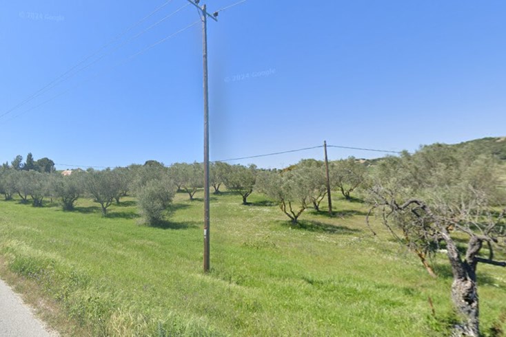 Realty photo 3
