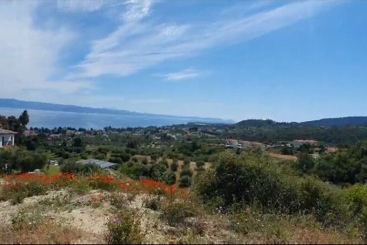 Realty photo 2