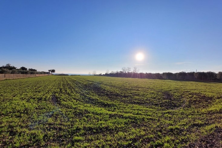 Realty photo 1