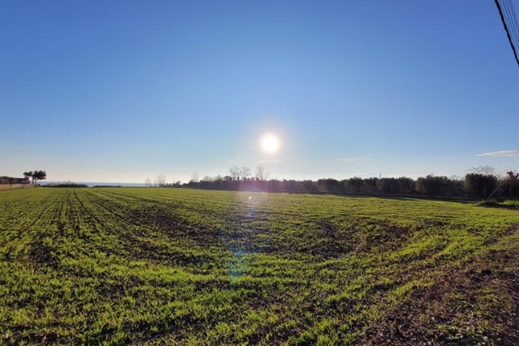 Realty photo 3