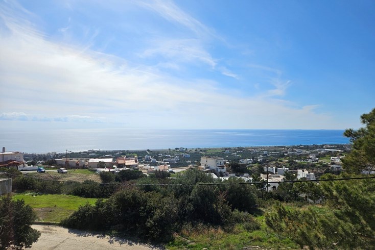 Realty photo 1