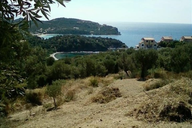 Realty photo 2