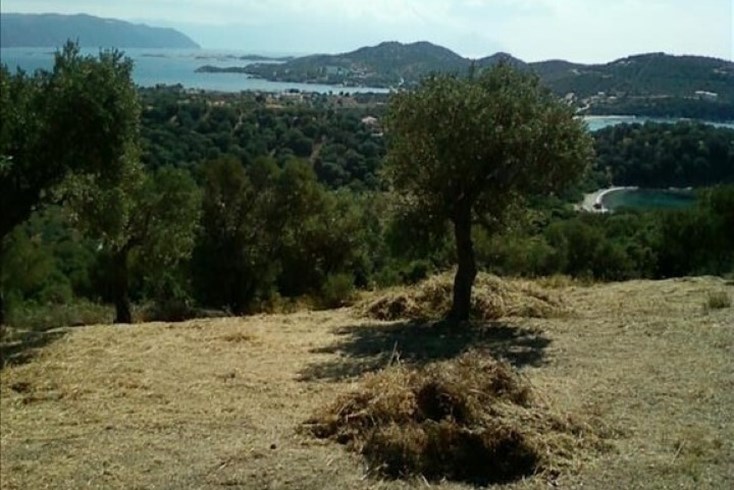 Realty photo 3
