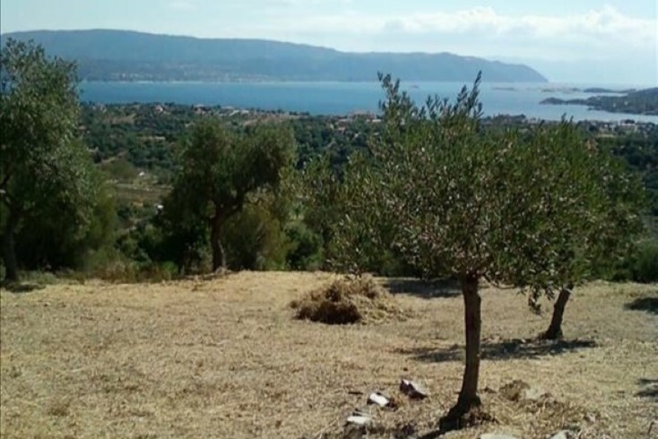 Realty photo 1
