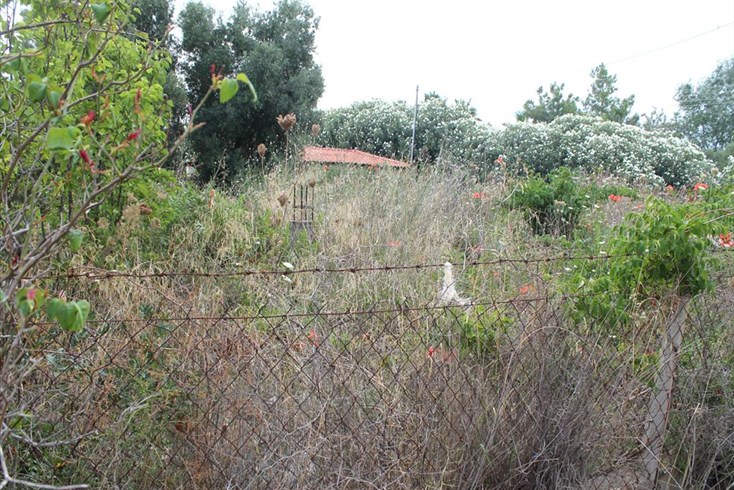 Realty photo 1
