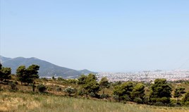 Парцел 22000 m² в Атина