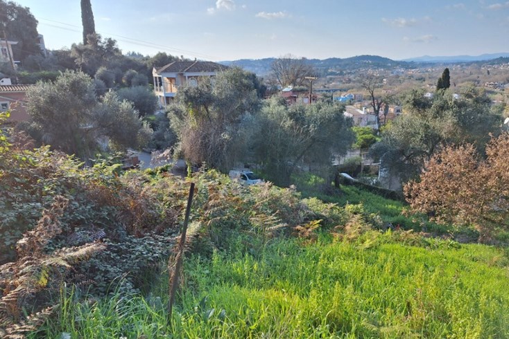 Realty photo 2