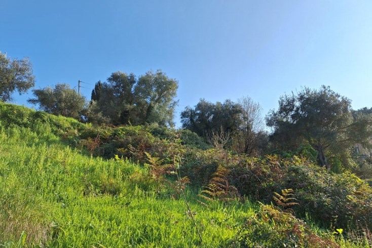 Realty photo 3