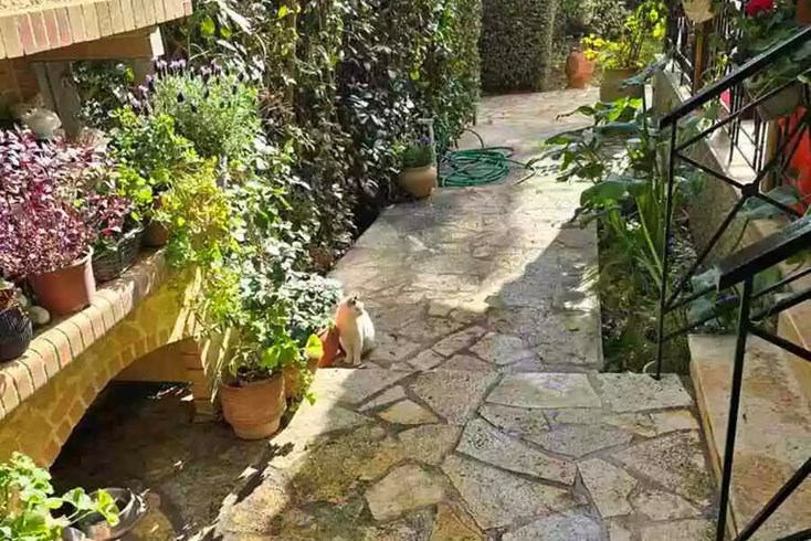 Realty photo 3