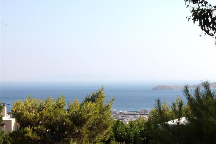 Realty photo 3
