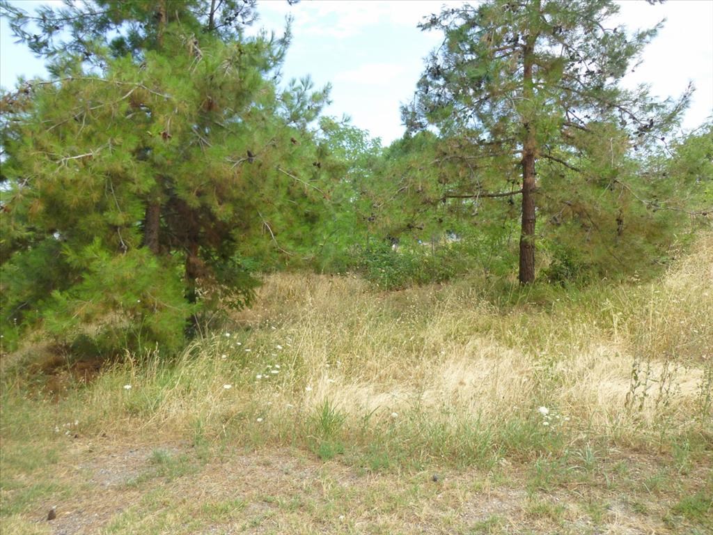 For Sale - Land 276 m² on the Olympic Coast