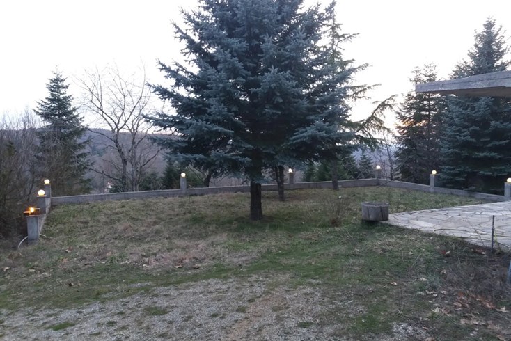 Realty photo 3
