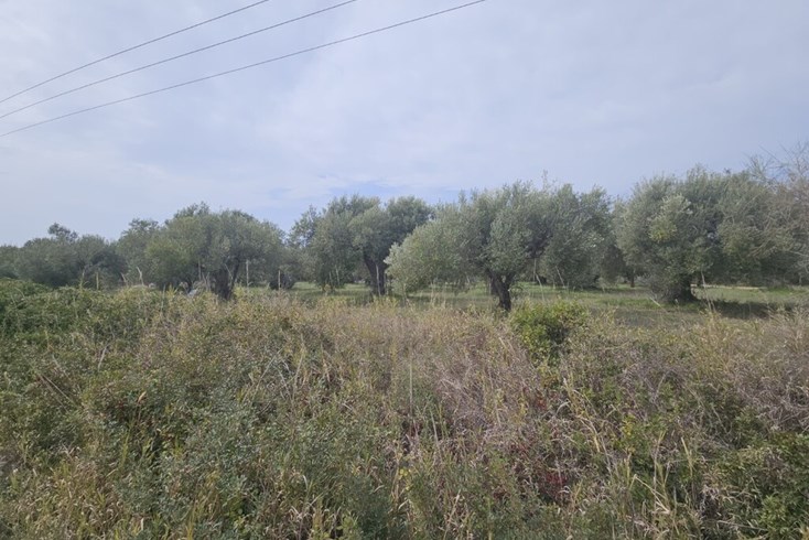 Realty photo 1