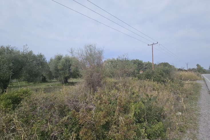 Realty photo 3