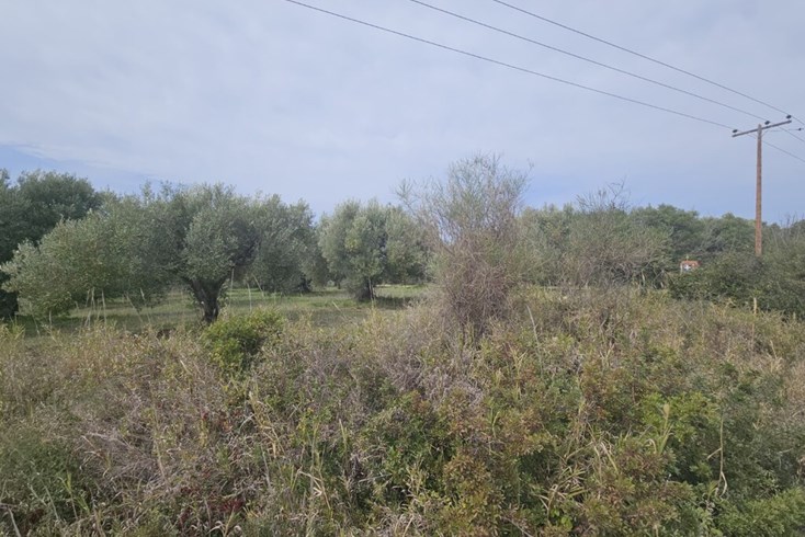 Realty photo 2