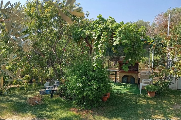 Realty photo 3