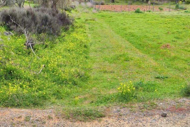 Realty photo 2