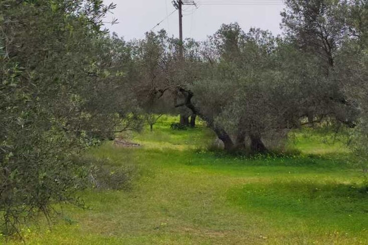 Realty photo 1