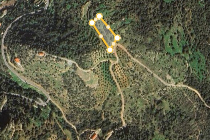 Realty photo 1
