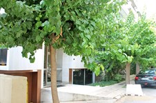 Property 6281 photo 7