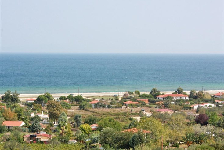 Realty photo 1