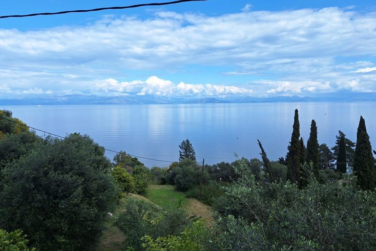 Realty photo 2