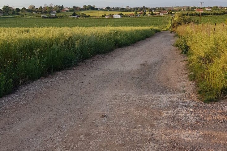 Realty photo 3