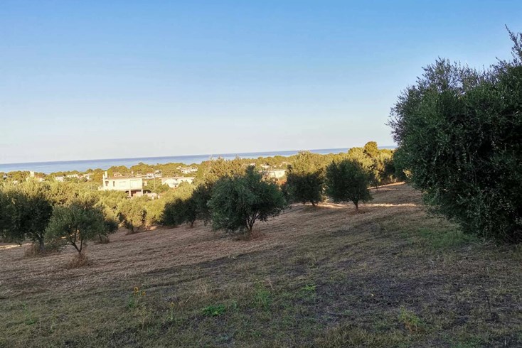 Realty photo 1