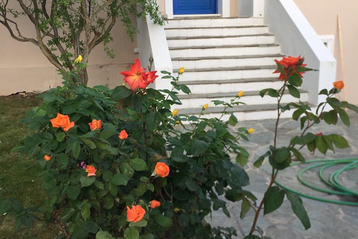 Realty photo 2
