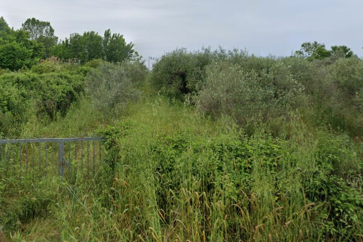 Realty photo 1