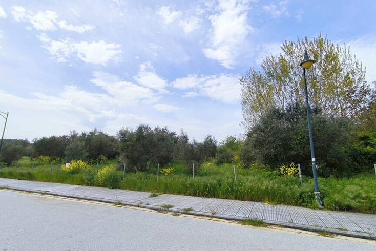 Realty photo 2