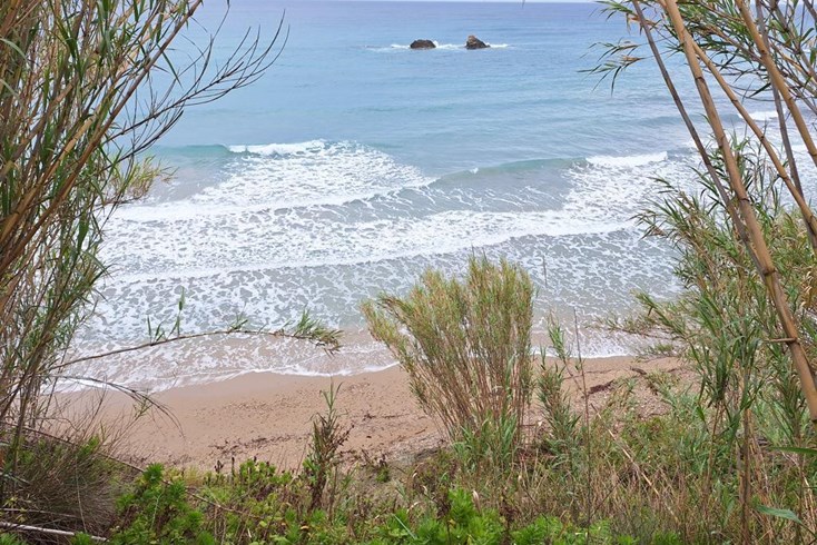 Realty photo 1